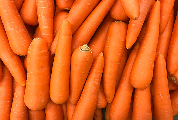ooty carrot