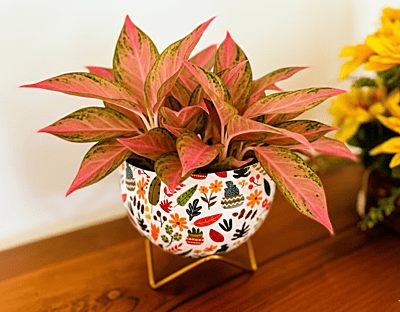 Apple Tabletop Meena Pot 1054-G