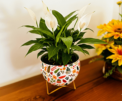 Apple Tabletop Meena Pot 1054-G