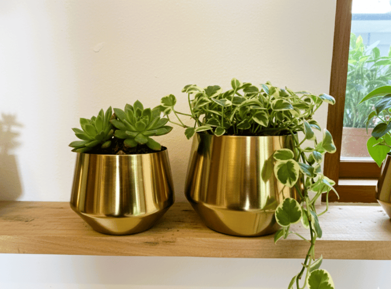 Planter Set (Pair) 1055