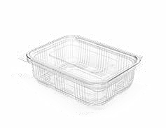 PET Hinged Containers: AT 400/500