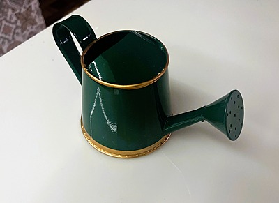 Watering Can 250ml with Gold Border for Kids 1076-A