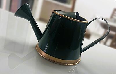 Watering Can 250ml with Gold Border for Kids 1076-A