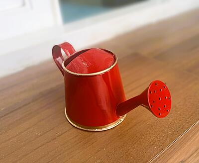 Watering Can 250ml Red with Gold Border for Kids 1076-C