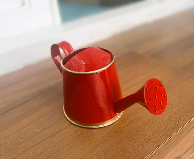 Watering Can 250ml Red with Gold Border for Kids 1076-C