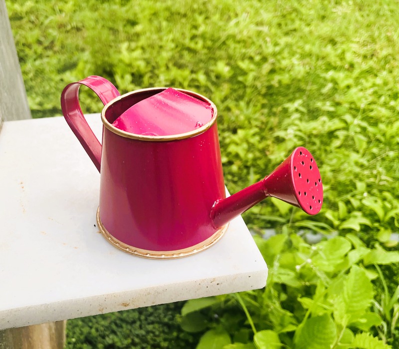 Watering Can 250ml with Gold Border for Kids 1076-D