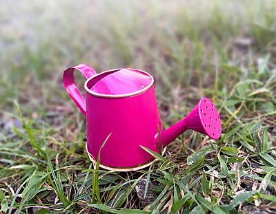 Watering Can 250ml with Gold Border for Kids 1076-D