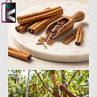 DALCHINI 50GM