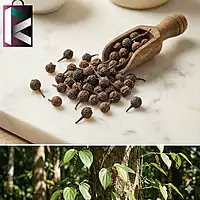 KAPURCHINI 50GM