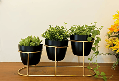 Desk Metal Pot Planters with Stand 1080-A