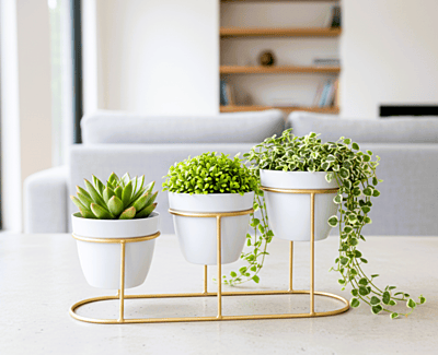 Desk Metal Pot Planters with Stand 1080-B