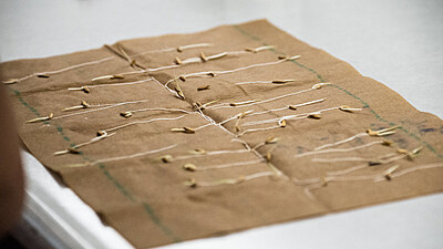 Germination Paper per kg