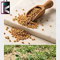 METHI 125GM