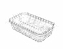 PET Hinged Containers: AT 500/500