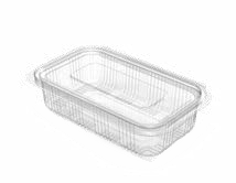 PET Hinged Containers: AT 500/500
