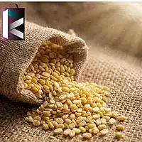 MUNGDAL 500GM
