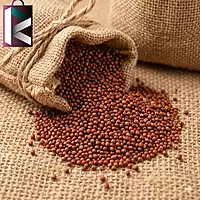NAGALI 5KG