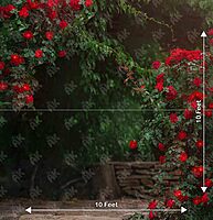 Red Rose Garden (PRE-ORDER)