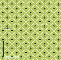 Olive Palms