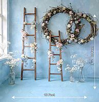 Spring Ladder PRE-ORDER