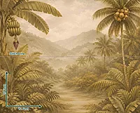 Tropical Pathway