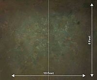 Olive Green Textured (PRE-ORDER)