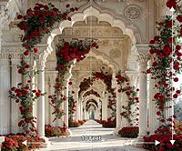 Red Rose Arch (PRE-ORDER)