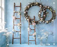 Spring Ladder PRE-ORDER