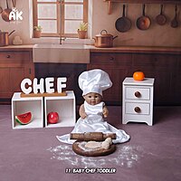 Studio Package (50 Themes)