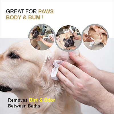 Pet Wet Wipes 100 PCS