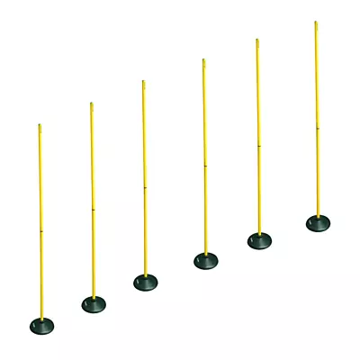 Spring Base Slalom/Agility Poles with Rubber Base (Set of 6)
