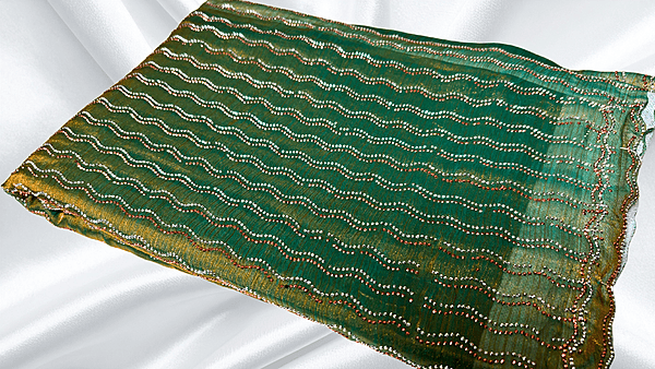 Space Silk Designer Stone PVC Saree - Rexona