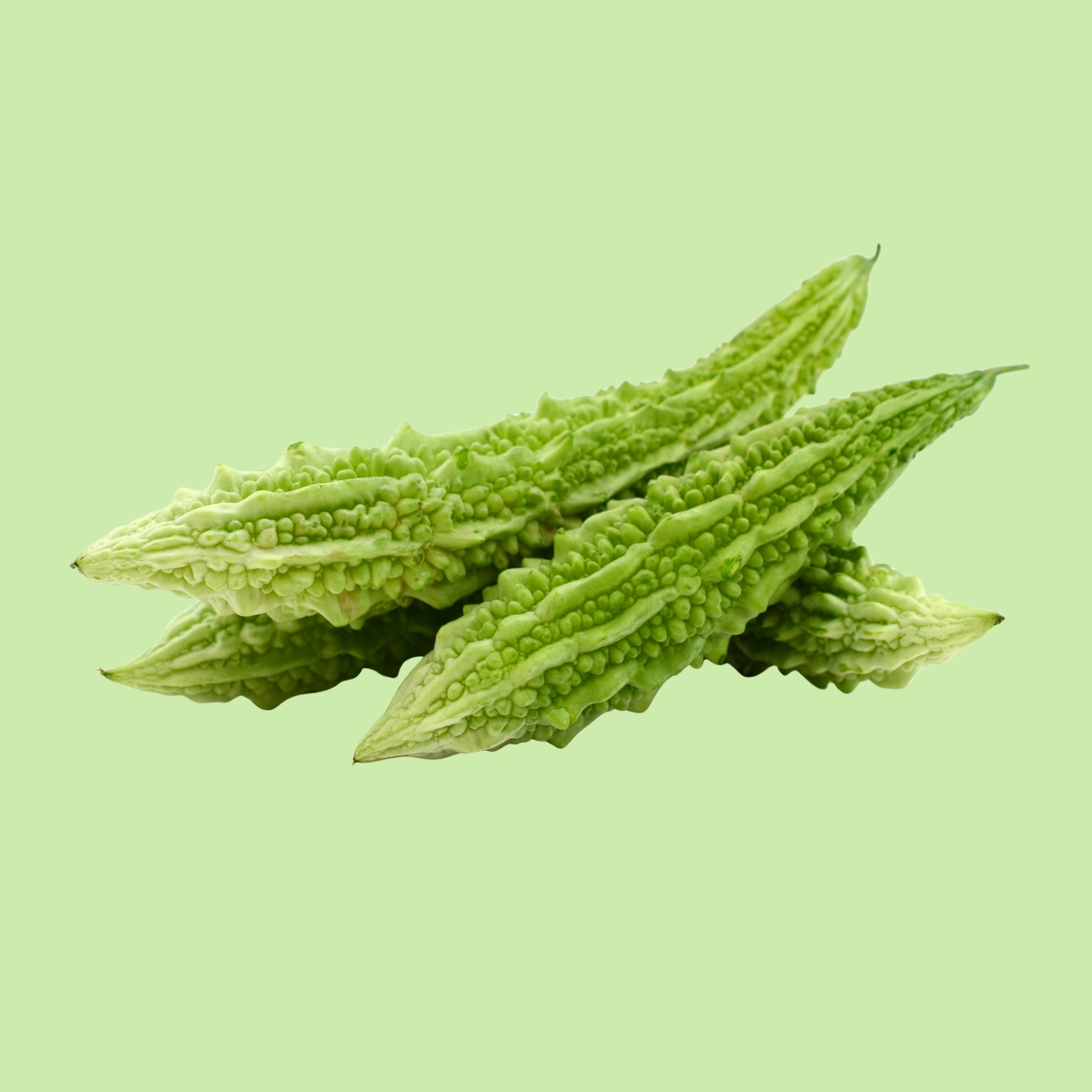 Gourd Bitter - 1pc - 500g