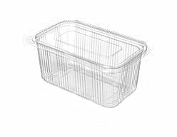PET Hinged Containers: AT 500/1000