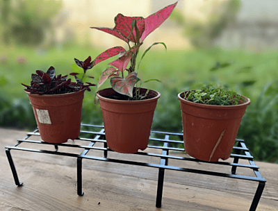 Rectangular Planter Stand 1110-A (PO4)