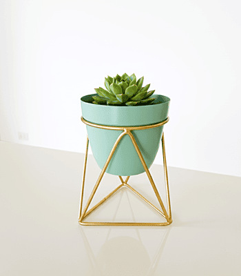 Table Top Planter 1113-E