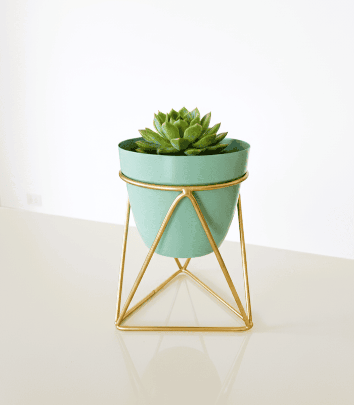 Table Top Planter 1113-E