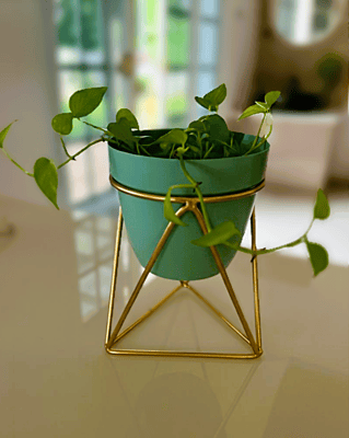 Table Top Planter 1113-E