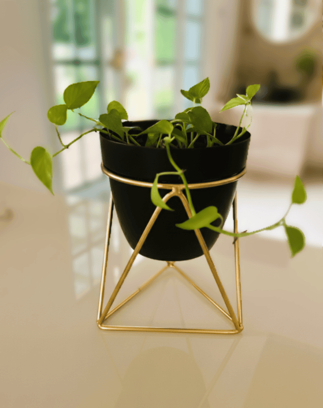 Table Top Planter 1113-F