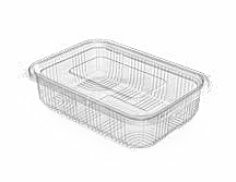 PET Hinged Containers: AT 700/600