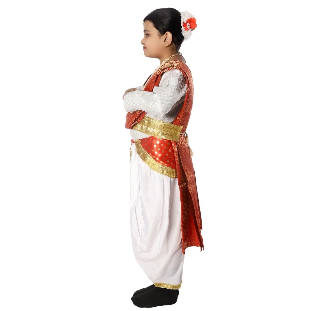 Semi Classical Dance Dress Semi Classical Dance Dress