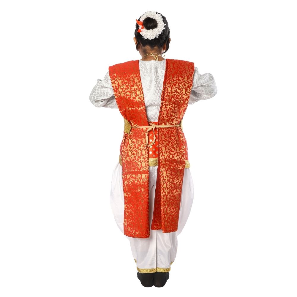 Semi Classical Dance Dress Semi Classical Dance Dress