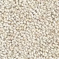 TILLI 125GM