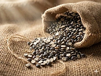 UDAD DAL CHILTI LOOSE(PER KG)