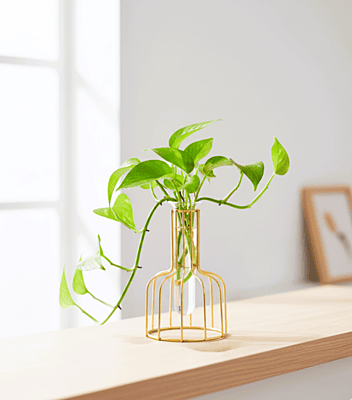 Test tube With Metal Stand 1149