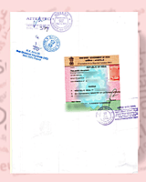 Netherland Apostille Netherland Apostille