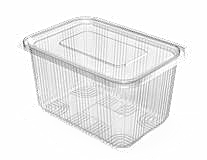 PET Hinged Containers: AT 700/1250