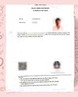 Netherland Apostille Netherland Apostille