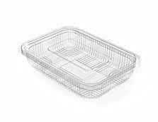 PET Hinged Containers: AT 700/500