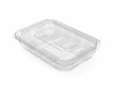 PET Hinged Containers: AT 700/500